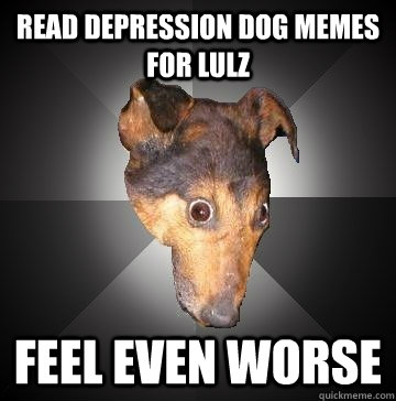 Read depression dog memes for lulz Feel even worse  Depression Dog