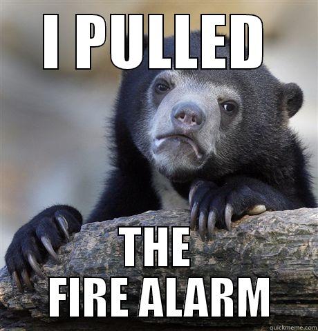 I PULLED THE  FIRE ALARM Confession Bear