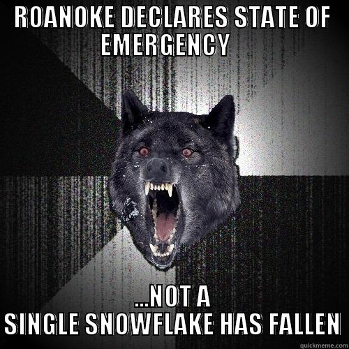 State of Emergency - ROANOKE DECLARES STATE OF EMERGENCY    ...NOT A SINGLE SNOWFLAKE HAS FALLEN Insanity Wolf