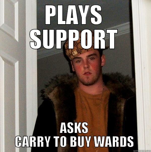 PLAYS SUPPORT ASKS CARRY TO BUY WARDS Scumbag Steve