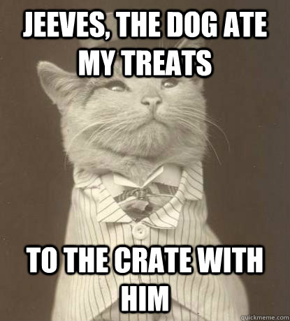 jeeves, the dog ate my treats to the crate with him  Aristocat