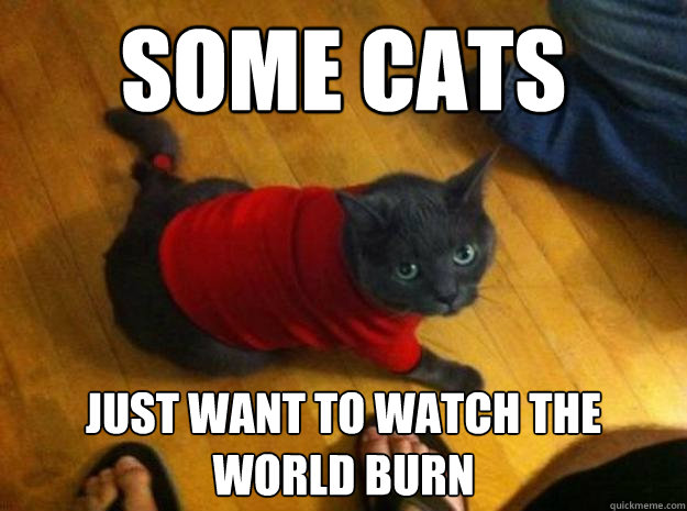 Some Cats Just want to watch the world burn - Some Cats Just want to watch the world burn  Kylethe cat