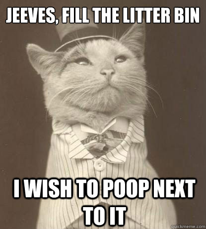 Jeeves, fill the litter bin i wish to poop next to it  Aristocat