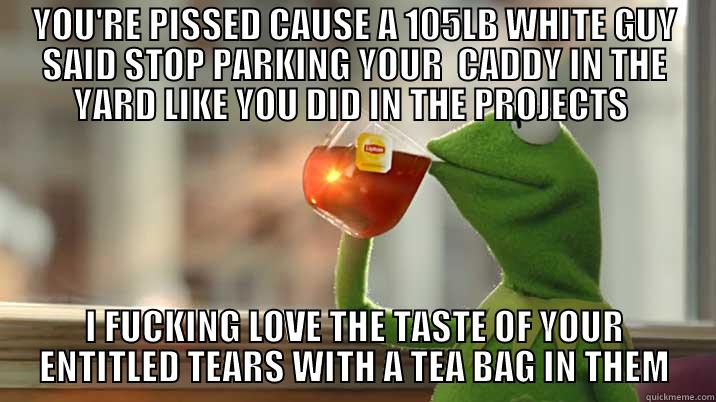 ghetto KERMIT - YOU'RE PISSED CAUSE A 105LB WHITE GUY SAID STOP PARKING YOUR  CADDY IN THE YARD LIKE YOU DID IN THE PROJECTS  I FUCKING LOVE THE TASTE OF YOUR ENTITLED TEARS WITH A TEA BAG IN THEM Misc