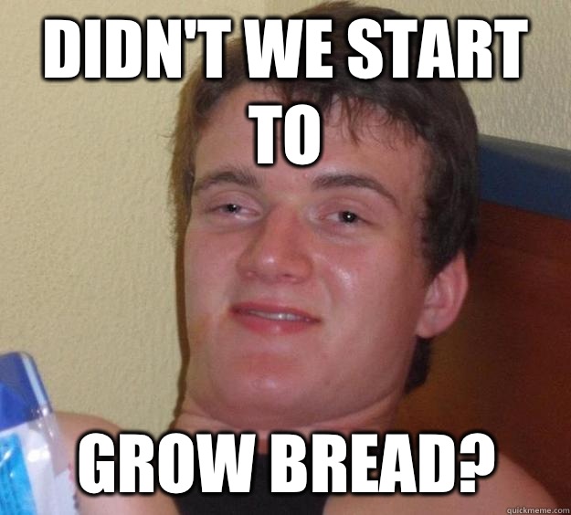 Didn't we start to Grow bread?  10 Guy