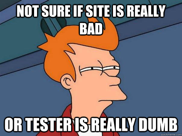 Not sure if site is really bad Or tester is really dumb  Futurama Fry