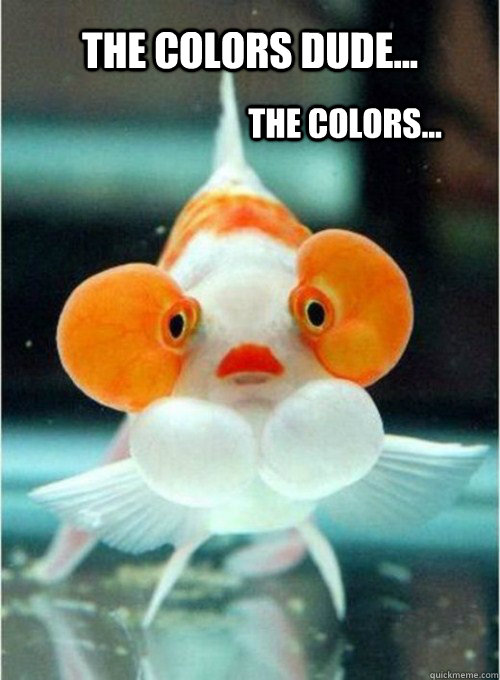 The Colors dude... The colors... - The Colors dude... The colors...  OMG fish