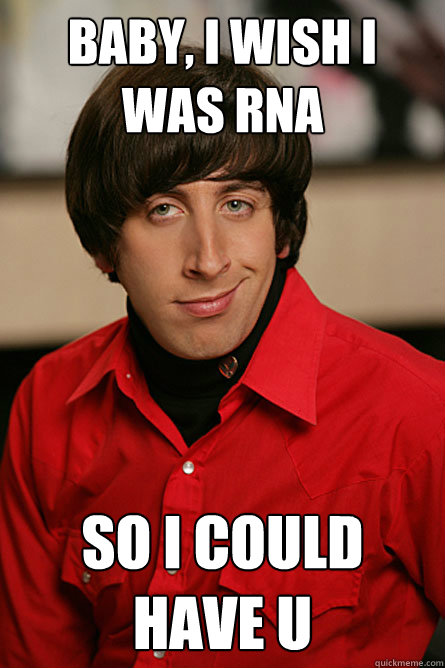 Baby, I wish I was RNA So I could have U  Pickup Line Scientist