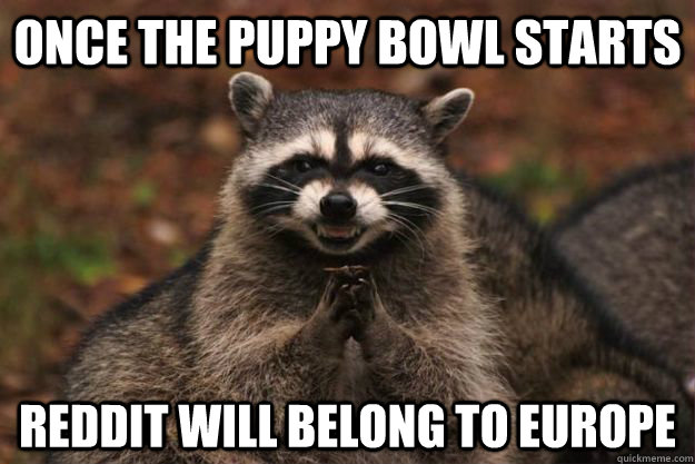 Once the puppy bowl starts reddit will belong to Europe - Once the puppy bowl starts reddit will belong to Europe  Evil Plotting Raccoon