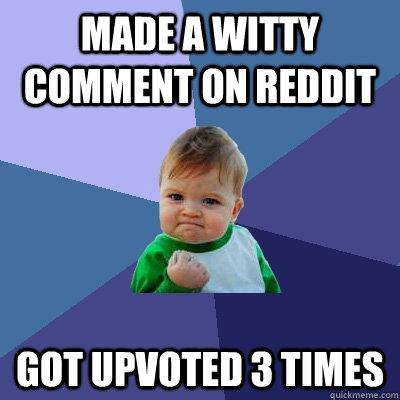 made a witty comment on reddit got upvoted 3 times  Success Kid