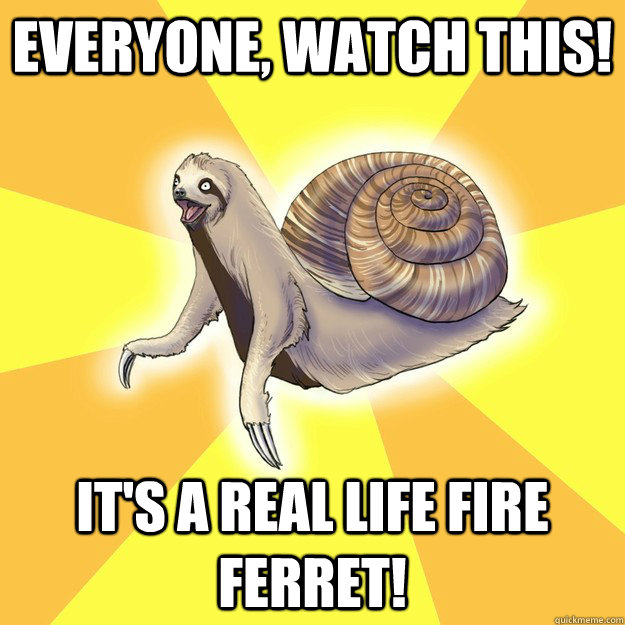 everyone, watch this! it's a real life fire ferret!  Slow Snail-Sloth