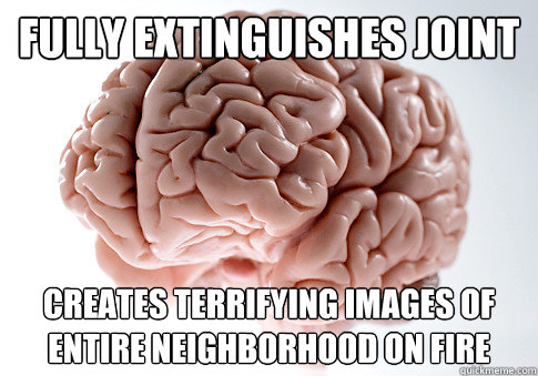 fully extinguishes joint creates terrifying images of entire neighborhood on fire  Scumbag Brain