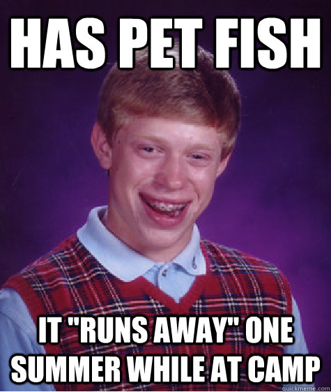 Has Pet Fish it 