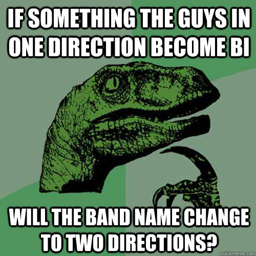 If something the guys in one direction become bi will the band name change to two directions?  Philosoraptor