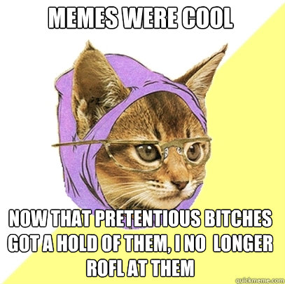 Memes were cool now that pretentious bitches got a hold of them, i no  longer ROFL at them - Memes were cool now that pretentious bitches got a hold of them, i no  longer ROFL at them  Hipster Kitty