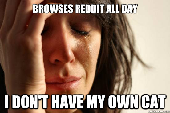 Browses Reddit all day I don't have my own cat  First World Problems