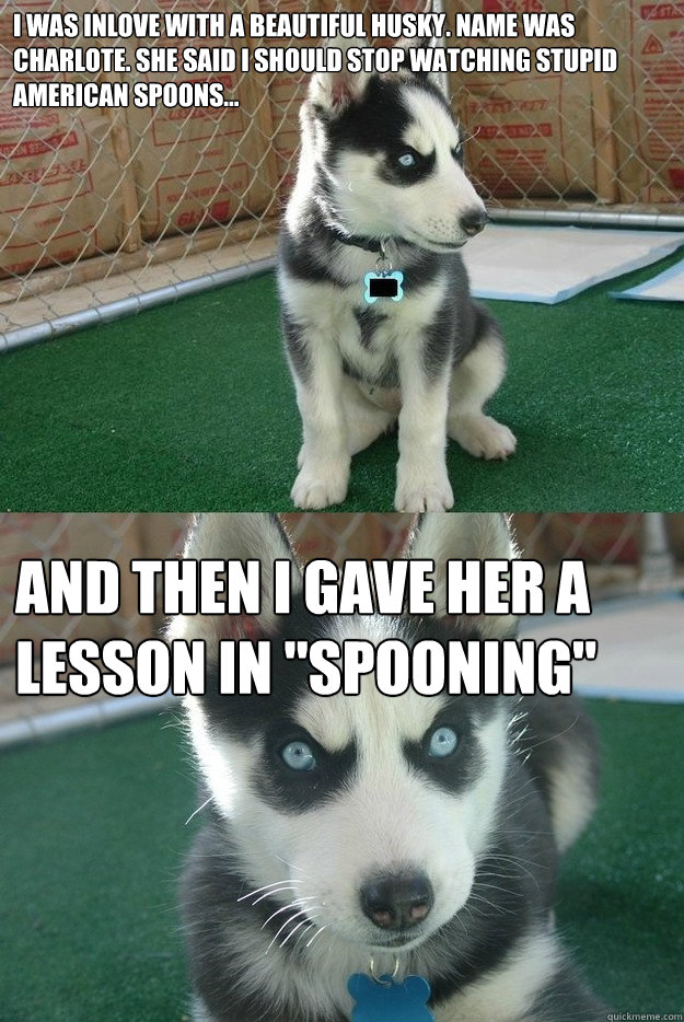 i was inlove with a beautiful husky. name was charlote. she said i should stop watching stupid american spoons... and then i gave her a lesson in 