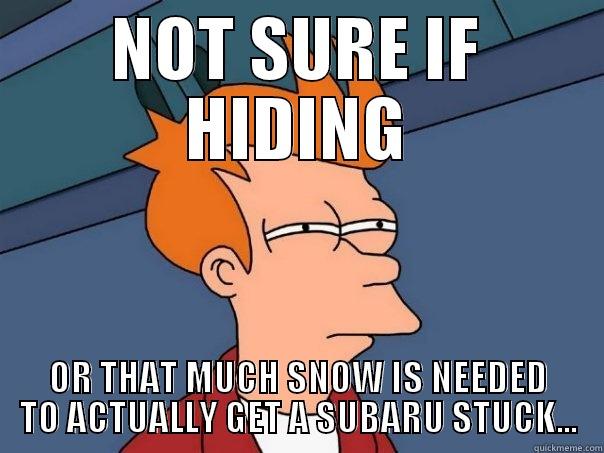 NOT SURE IF HIDING OR THAT MUCH SNOW IS NEEDED TO ACTUALLY GET A SUBARU STUCK... Futurama Fry