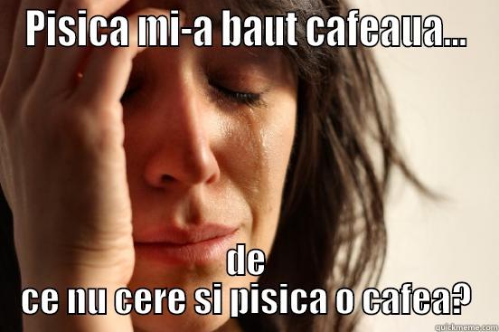 Fete si pisici - PISICA MI-A BAUT CAFEAUA... DE CE NU CERE SI PISICA O CAFEA? First World Problems