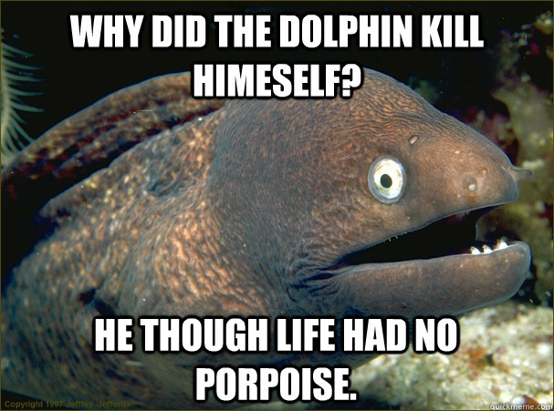 Why did the dolphin kill himeself? he though life had no porpoise. - Why did the dolphin kill himeself? he though life had no porpoise.  Bad Joke Eel