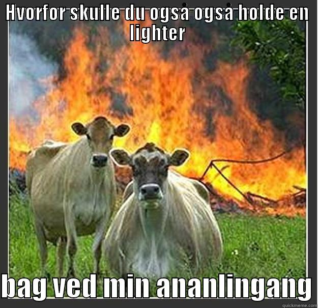 HVORFOR SKULLE DU OGSÅ OGSÅ HOLDE EN LIGHTER  BAG VED MIN ANANLINGANG Evil cows