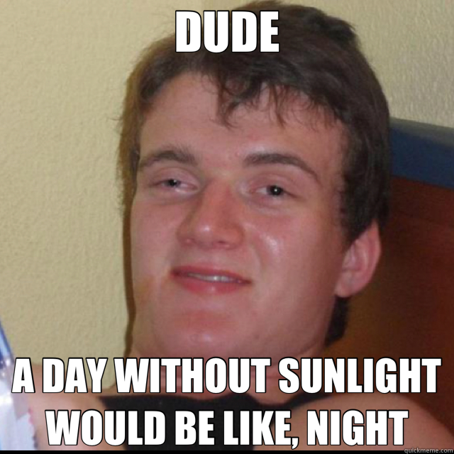 DUDE A DAY WITHOUT SUNLIGHT WOULD BE LIKE, NIGHT  10 Guy