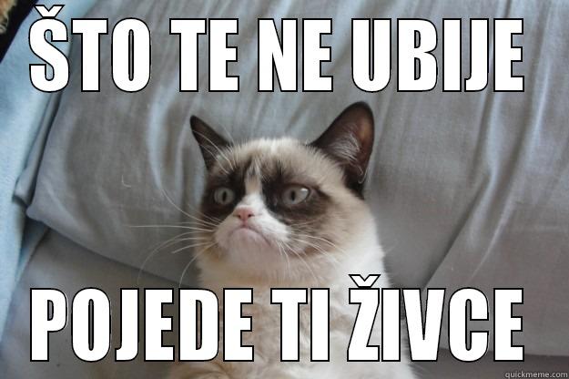 ŠTO TE NE UBIJE POJEDE TI ŽIVCE Grumpy Cat