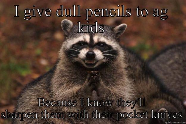 The pencil sharpener in my room isn't very good - I GIVE DULL PENCILS TO AG KIDS BECAUSE I KNOW THEY'LL SHARPEN THEM WITH THEIR POCKET KNIVES Evil Plotting Raccoon