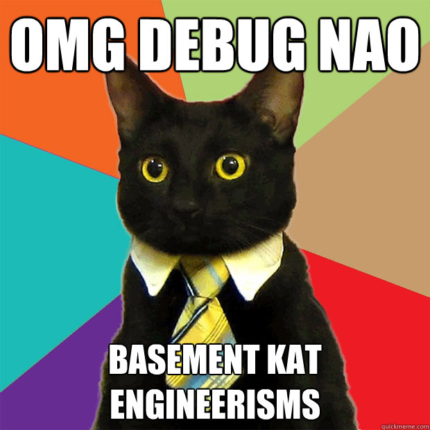 OMG debug NAO basement kat engineerisms  Business Cat