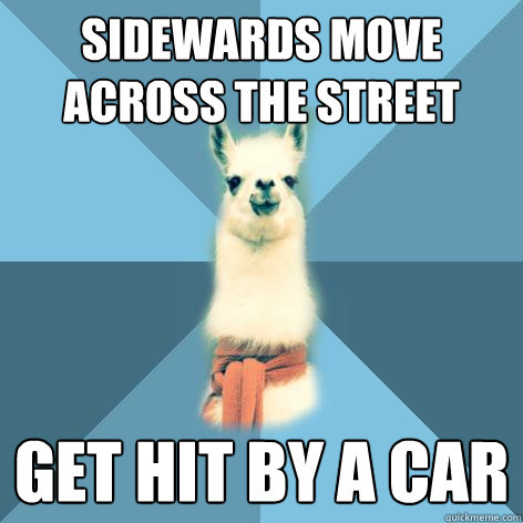 Sidewards Move Across the Street Get Hit by a Car  Linguist Llama