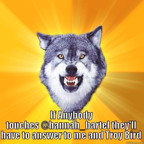  IF ANYBODY TOUCHES @HANNAH_BARTEL THEY'LL HAVE TO ANSWER TO ME AND TROY BIRD Courage Wolf