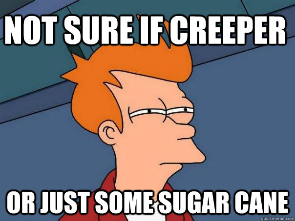 Not sure if creeper  Or just some sugar cane  Futurama Fry