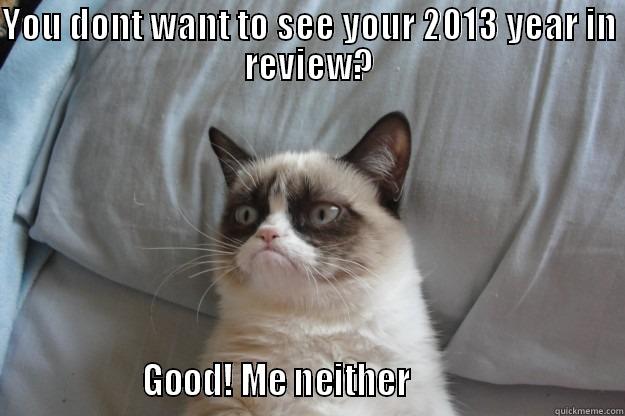 YOU DONT WANT TO SEE YOUR 2013 YEAR IN REVIEW?                  GOOD! ME NEITHER                            Grumpy Cat