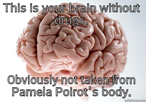 THIS IS YOUR BRAIN WITHOUT DRUGS. OBVIOUSLY NOT TAKEN FROM PAMELA POIROT'S BODY. Scumbag Brain