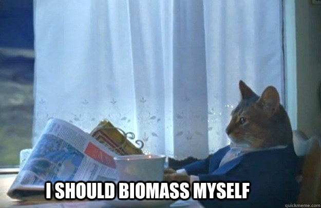 I should biomass myself  Sophisticated Cat