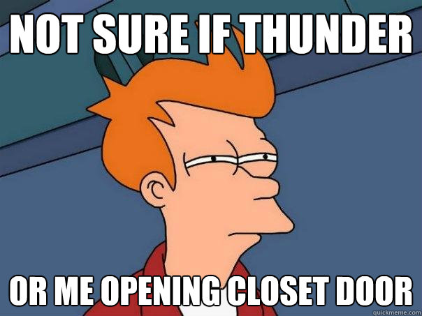 not sure if thunder or me opening closet door  Futurama Fry