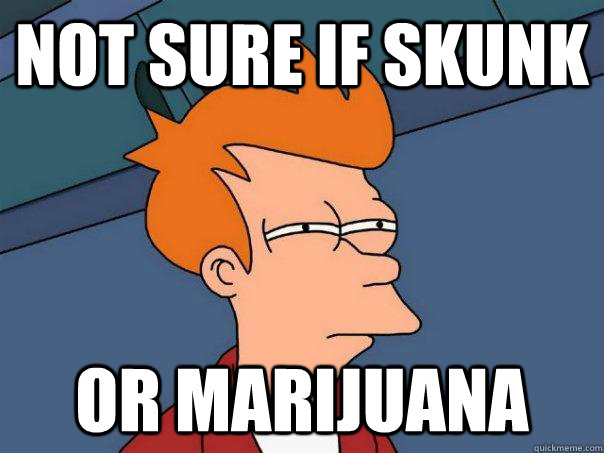 Not sure if skunk Or marijuana  Futurama Fry