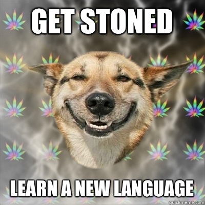 Get stoned Learn a new language - Get stoned Learn a new language  Stoner Dog