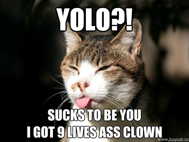 YOLO?! sucks to be you
I GOT 9 lives ass clown  