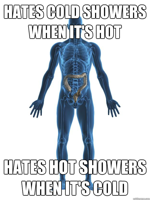 hates cold showers when it's hot hates hot showers when it's cold  Scumbag human body