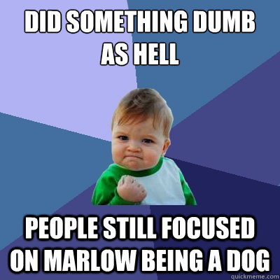 did something dumb as hell people still focused on marlow being a dog  Success Kid