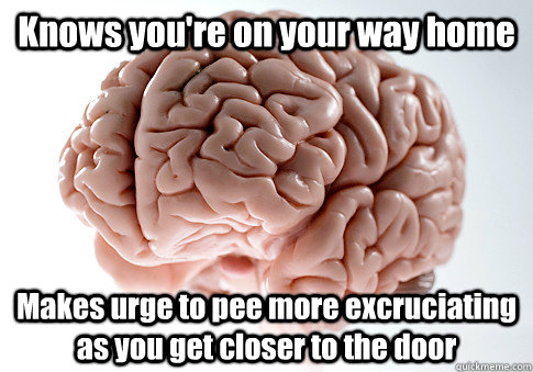 Knows you're on your way home Makes urge to pee more excruciating as you get closer to the door  - Knows you're on your way home Makes urge to pee more excruciating as you get closer to the door   Scumbag Brain