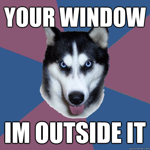 your window im outside it  Creeper Canine