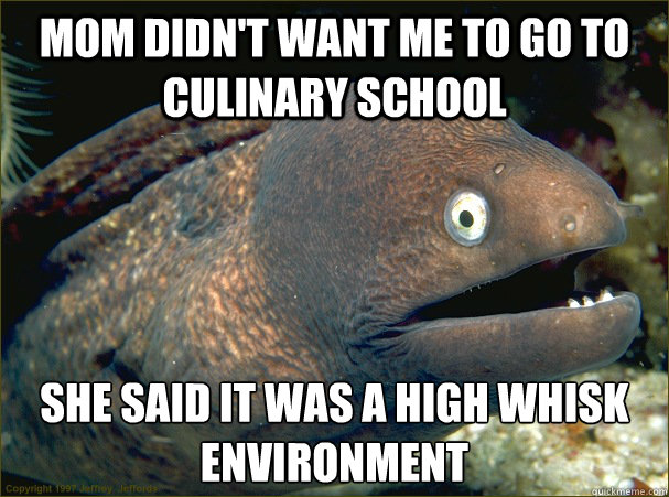 Mom didn't want me to go to culinary school She said it was a high whisk environment  Bad Joke Eel