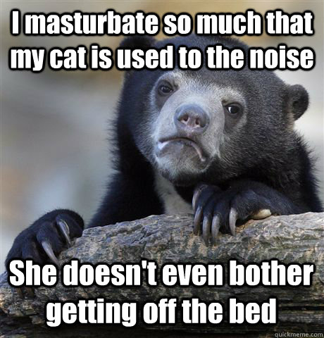 I masturbate so much that my cat is used to the noise She doesn't even bother getting off the bed  Confession Bear