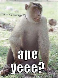  APE YEEE? Misc