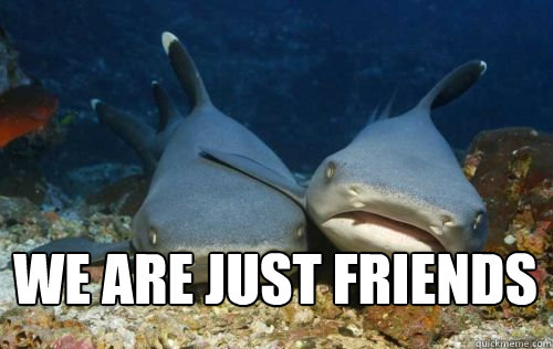  We are just friends -  We are just friends  Compassionate Shark Friend