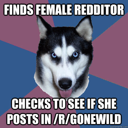 FINDS FEMALE REDDITOR CHECKS TO SEE IF SHE POSTS IN /R/GONEWILD  Creeper Canine