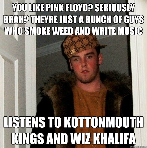 you like pink floyd? seriously brah? theyre just a bunch of guys who smoke weed and write music listens to kottonmouth kings and Wiz Khalifa  Scumbag Steve