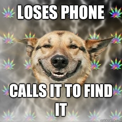 Loses phone Calls it to find it  Stoner Dog